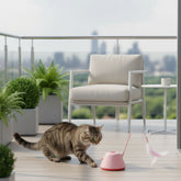 Brinquedo Interativo Aventura 360º para Gatos – Diversão e Estímulo Mental