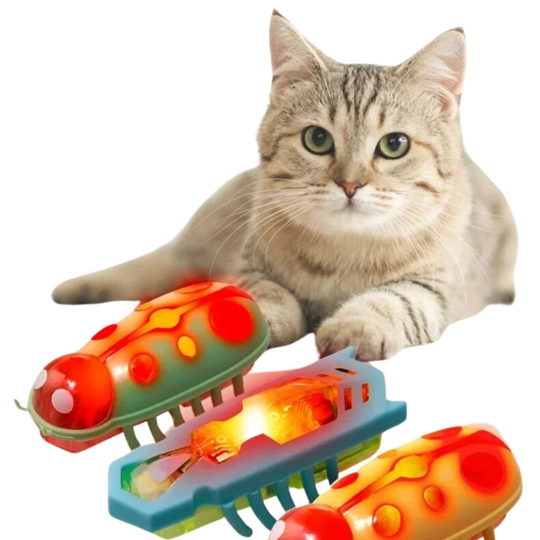Brinquedo Interativo Inseto Elétrico para Gatos: Acessório Divertido que Estimula o Instinto de Caça