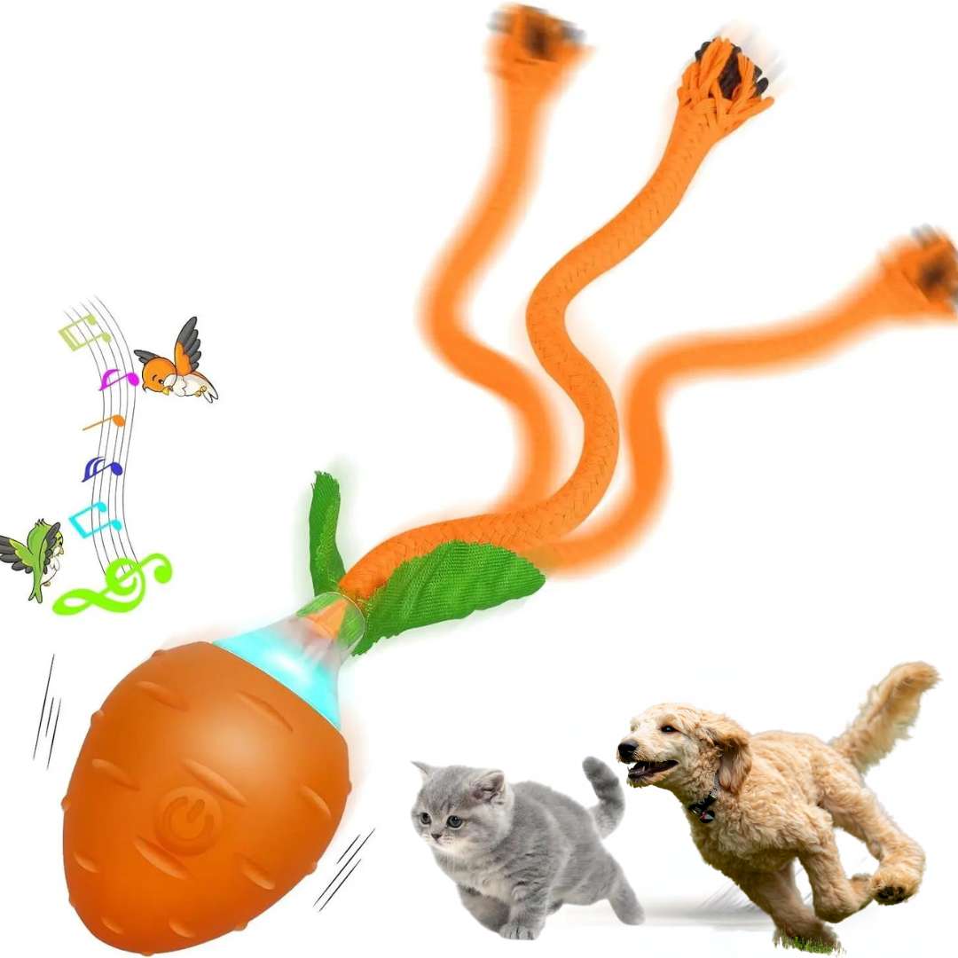 Brinquedo Cenoura Interativa Para Pets - Recarregável. A Solução Para Acabar de Vez Com o Tédio e Ansiedade do Seu Pet! O brinquedo Cenoura Interativa, é a solução perfeita para manter seu gato entretido e engajado, enquanto protege seus móveis e pertences. 