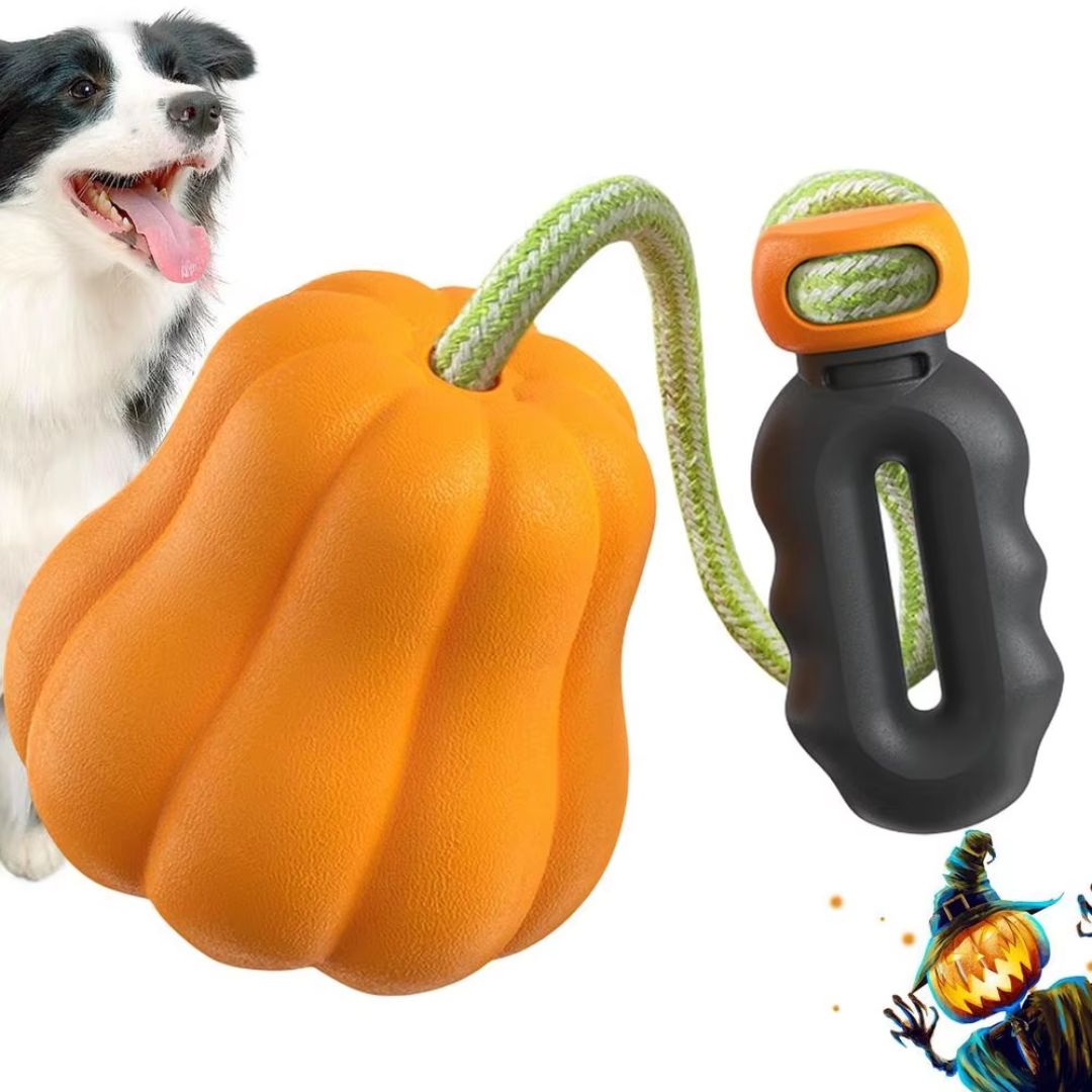 Cansado de Brinquedos Que Seu Cão Destrói em Minutos? Chega de brinquedos frágeis e cães entediados! Apresentamos o Brinquedo de Abóbora para Cães — o brinquedo indestrutível que vai manter seu pet feliz e ativo por horas!