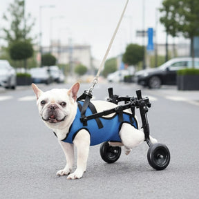 Cadeira de Rodas para Pernas Traseiras para Pets