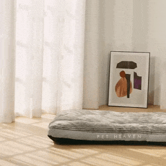 Caminha Pet Heaven Ortopédica – Conforto para Cães Idosos velú pet