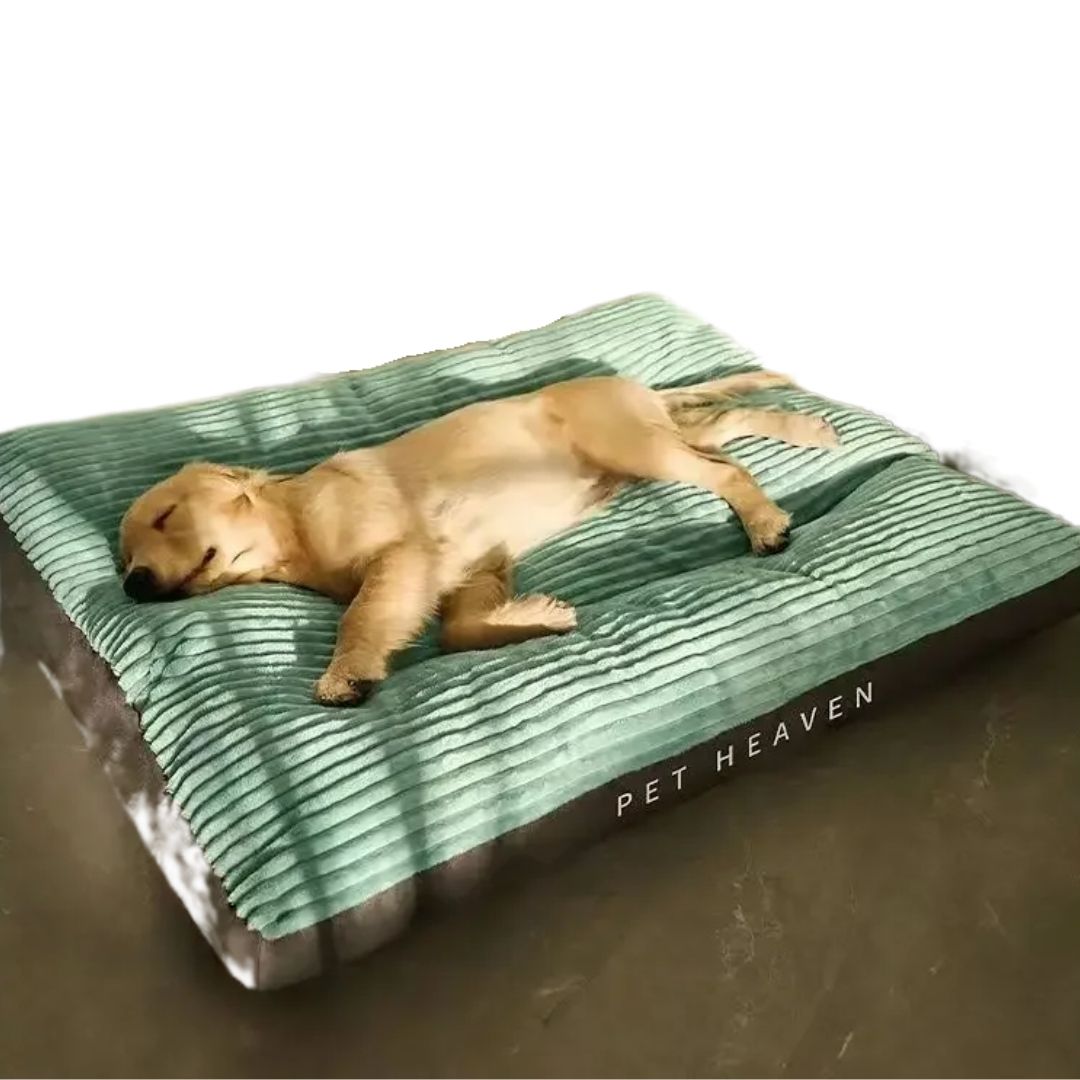 Caminha Pet Heaven Ortopédica – Conforto para Cães Idosos velú pet