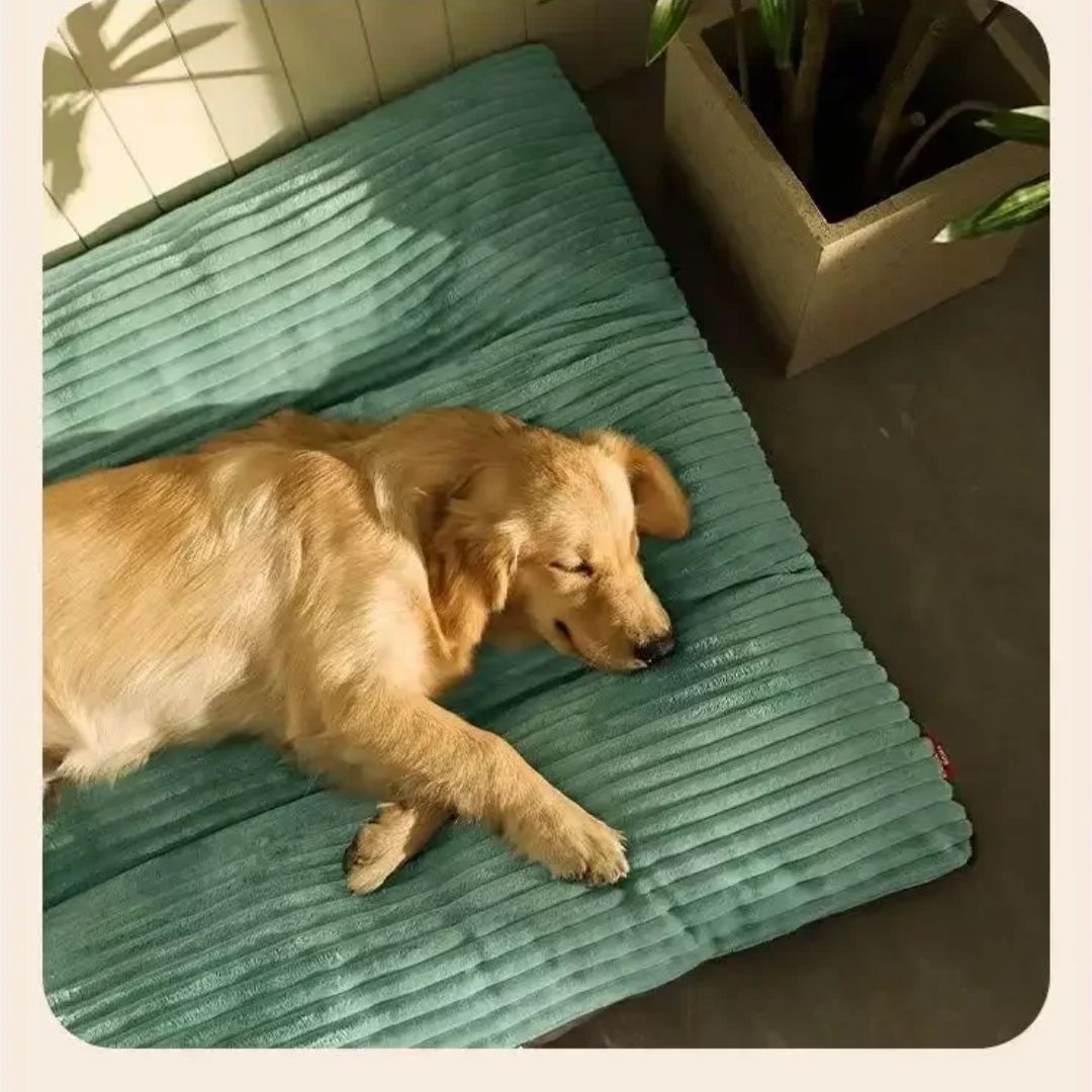 Caminha Pet Heaven Ortopédica – Conforto para Cães Idosos velú pet