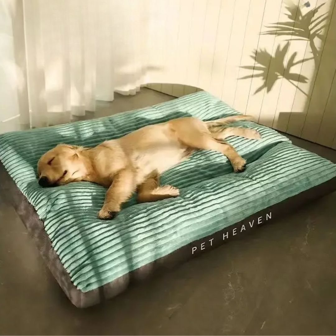 Caminha Pet Heaven Ortopédica – Conforto para Cães Idosos velú pet