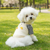 Camisa listrada Velú Pet, cão ou gato vestindo a camisa listrada