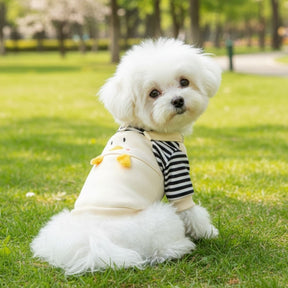 Camisa Listrada para Pets – Conforto e Estilo para Cães e Gatos