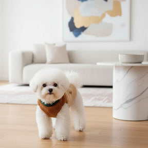 Casaco de Lã Pet Outono/Inverno com Forro Teddy