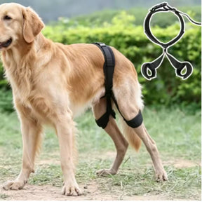 Cinta de Suporte para Quadril e Patas Traseiras