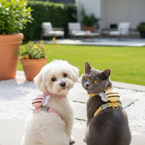 Coleira Abelha Pet Premium – Conforto e Segurança para Cães e Gatos