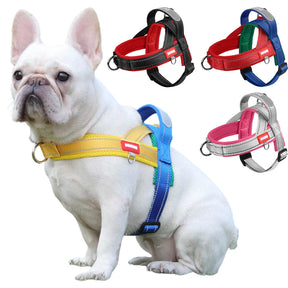 Coleira Peitoral Estilo Sela para Cães Pequenos, Médios e Grandes | Ideal para Caminhadas Seguras ao Ar Livre | Distribui a Pressão Sem Machucar | Ajustável e Confortável