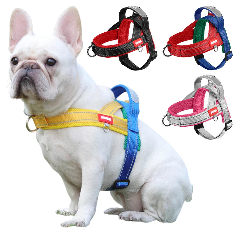 Coleira Peitoral Estilo Sela para Cães Pequenos, Médios e Grandes | Ideal para Caminhadas Seguras ao Ar Livre | Distribui a Pressão Sem Machucar | Ajustável e Confortável