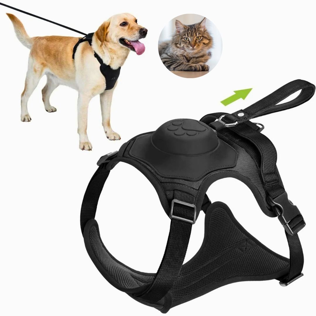 Coleira com Guia Embutida para Pets - Acessório Prático para Cães e Gatos que Facilita os Passeios com Conforto e Segurança