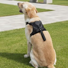 Coleira com Guia Embutida para Pets – Prática e Segura para Passeios