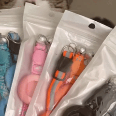Coleira com Suporte para Tag Rastreadora