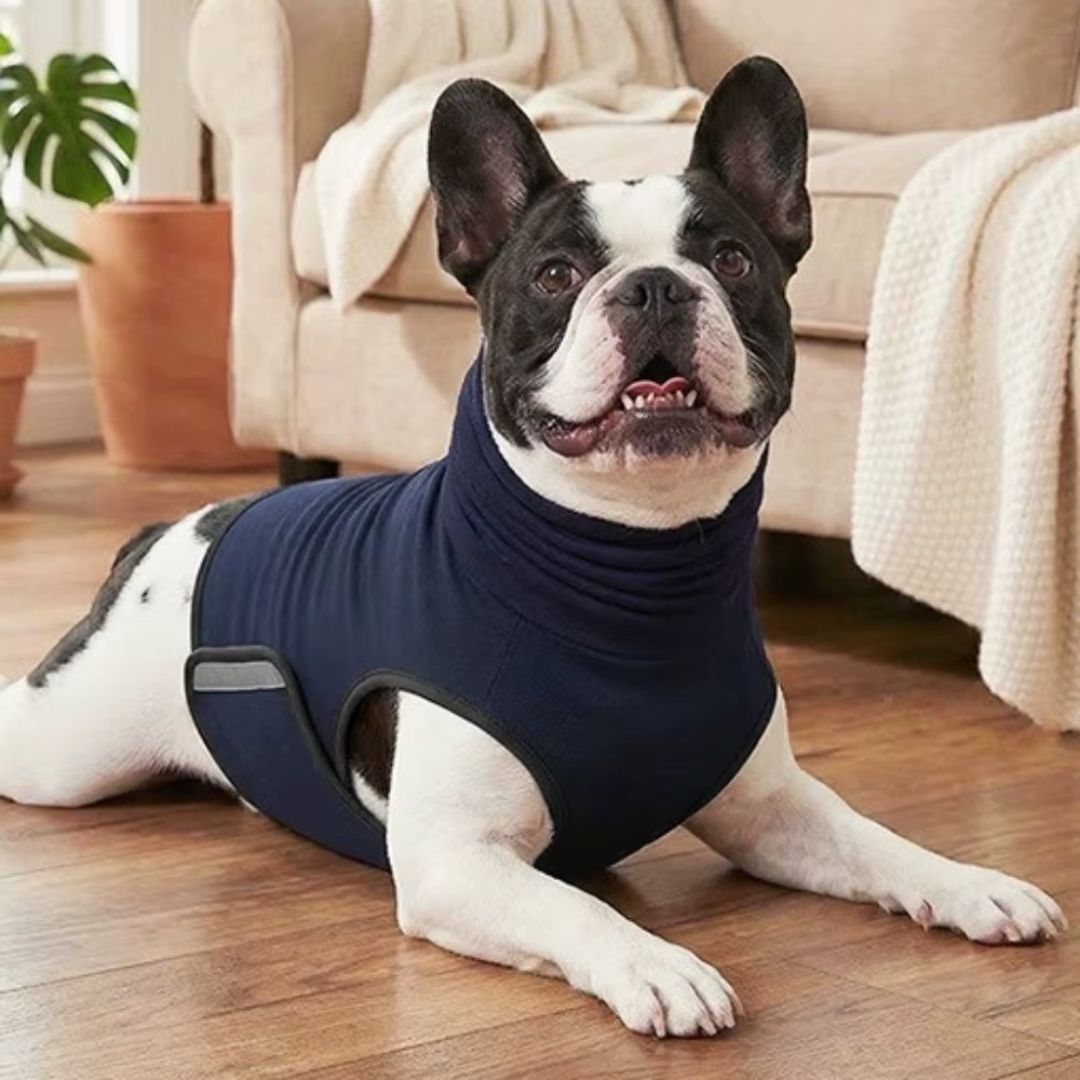 Colete Antiansiedade para Cães