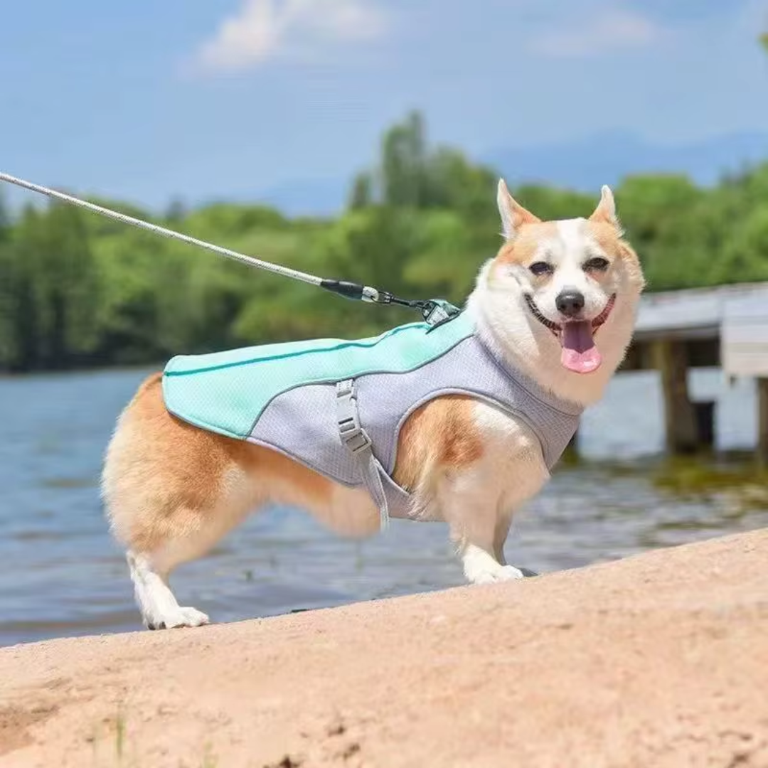 Colete Refrescante para Cachorro com Peitoral Ajustável