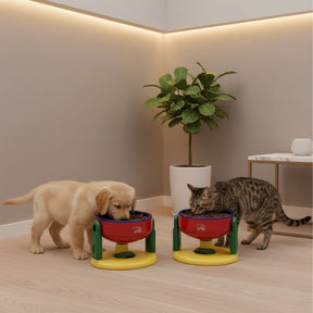 Comedouro Ajustável para Pets – 3 Alturas Reguláveis