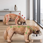 comedouro elevado ElevPet para cão e gato