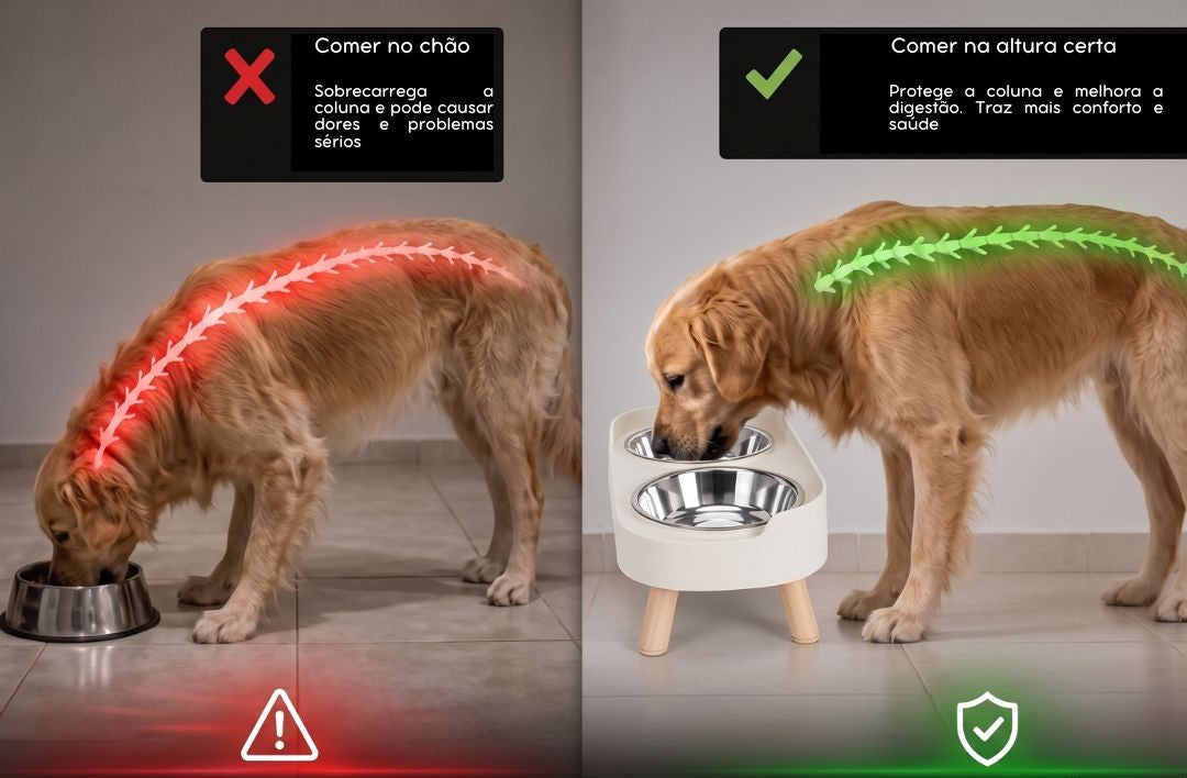 Comedouro Elevado para Alimentação Saudável - ElevPet™