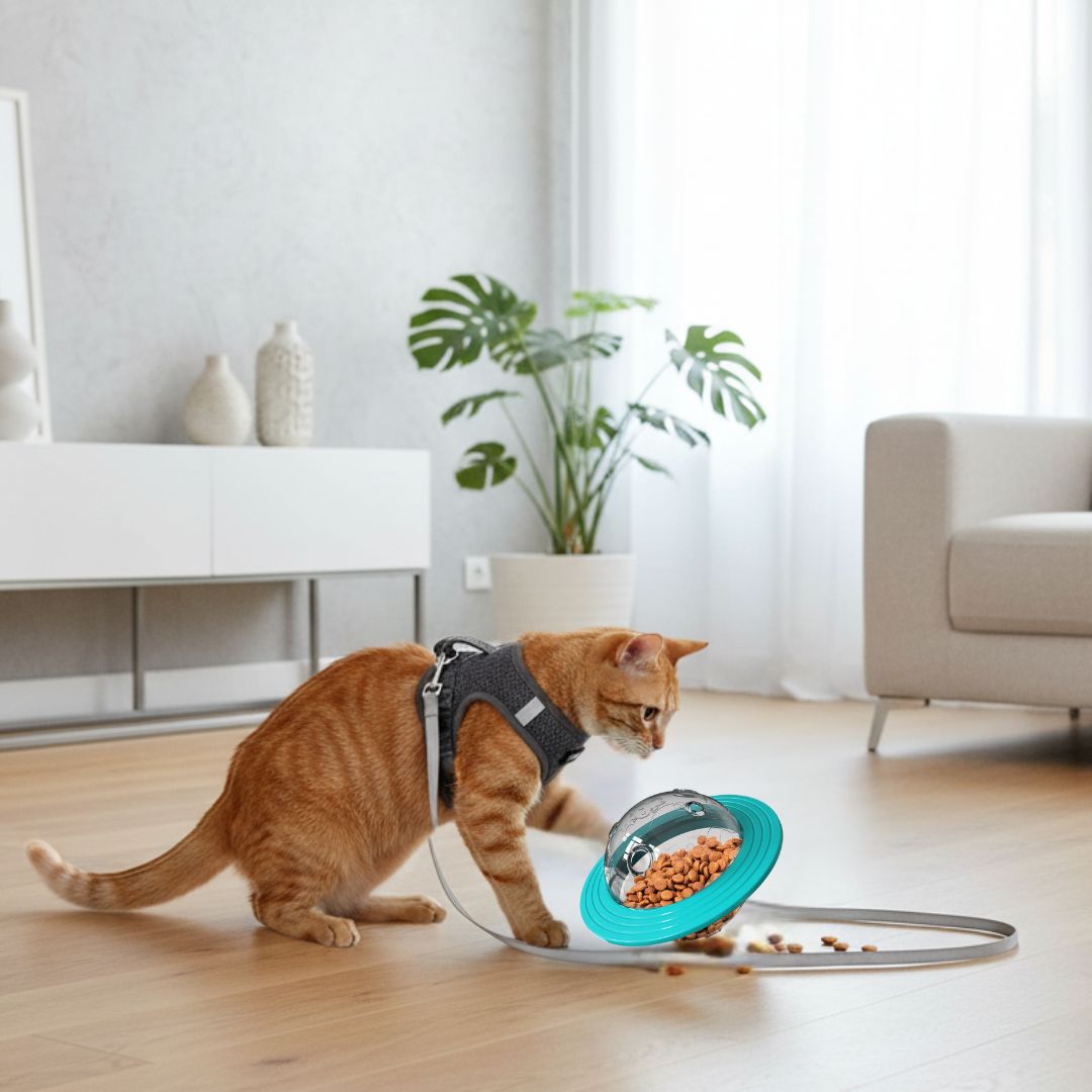 Comedouro Interativo Disco Voador – Estimula a Caça e Atividade Física