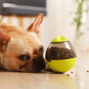 Comedouro Interativo Egg – Alimentação Divertida