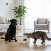Comedouro e Bebedouro Globo Automático para Pets