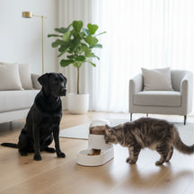 Comedouro e Bebedouro Globo Automático para Pets