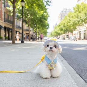 Conjunto Boné e Peitoral Patinho de Luxo para Pets