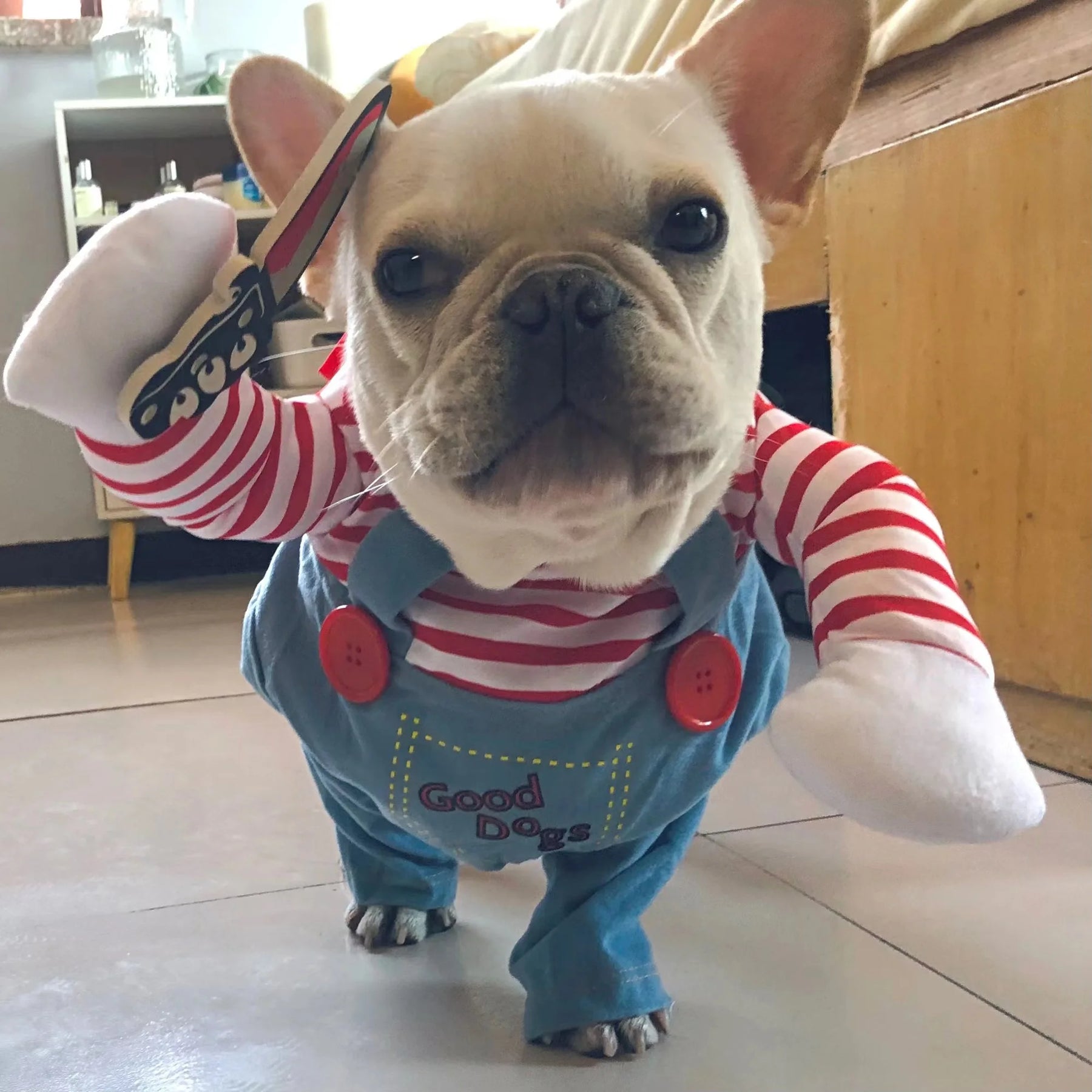 Fantasia Criativa de Serial para Cães e Gatos | Perfeita para Festas Temáticas | Design Divertido com Detalhes Realistas