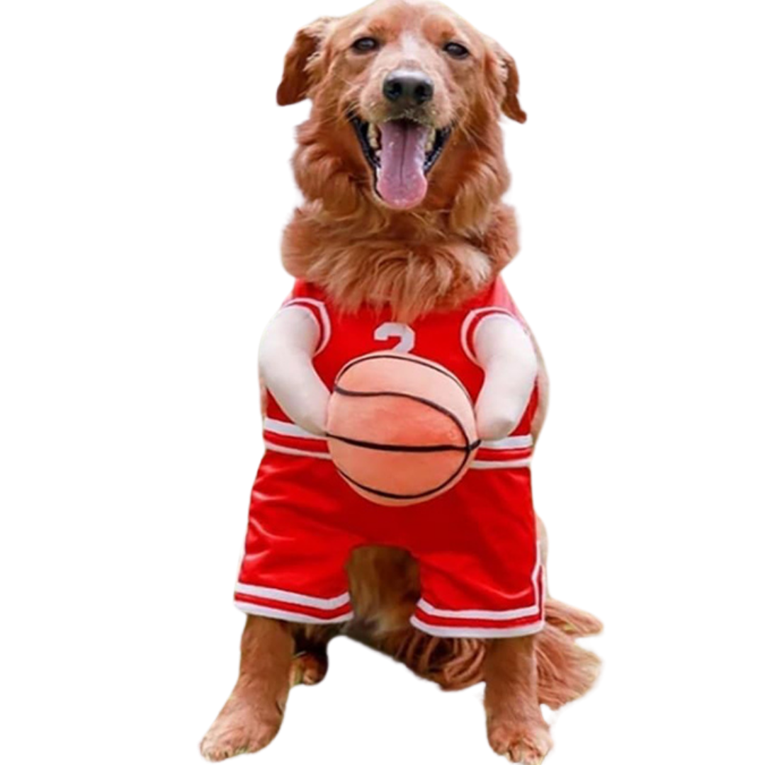 Fantasia Uniforme de Basquete para Cães e Gatos | Para Pets de Todos os Tamanhos | Ideal para Festas e Sessões de Fotos Divertidas | Design Temático, Leve e Confortável