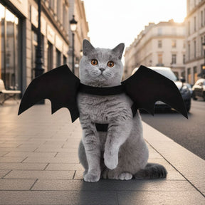 Fantasia de Asas de Morcego para Pets