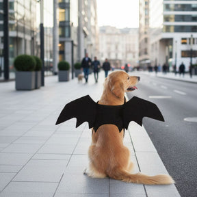 Fantasia de Asas de Morcego para Pets