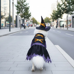 Fantasia de Bruxa para Cães e Gatos
