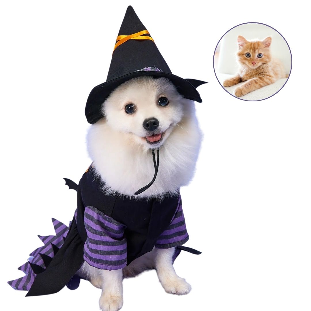 Fantasia de Bruxa para Pets - Roupa Temática para Cães e Gatos que Garante Diversão e Estilo com Conforto para Festas de Halloween