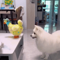 Frango Interativo que Põe Ovos – Diversão e Estímulo para o Seu Pet velú pet