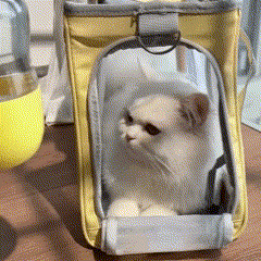 Garrafa Portátil para Água e Petiscos | Ideal para Cães e Gatos em Passeios e Viagens | Mantém Seu Pet Hidratado e Alimentado | Design Compacto e Funcional