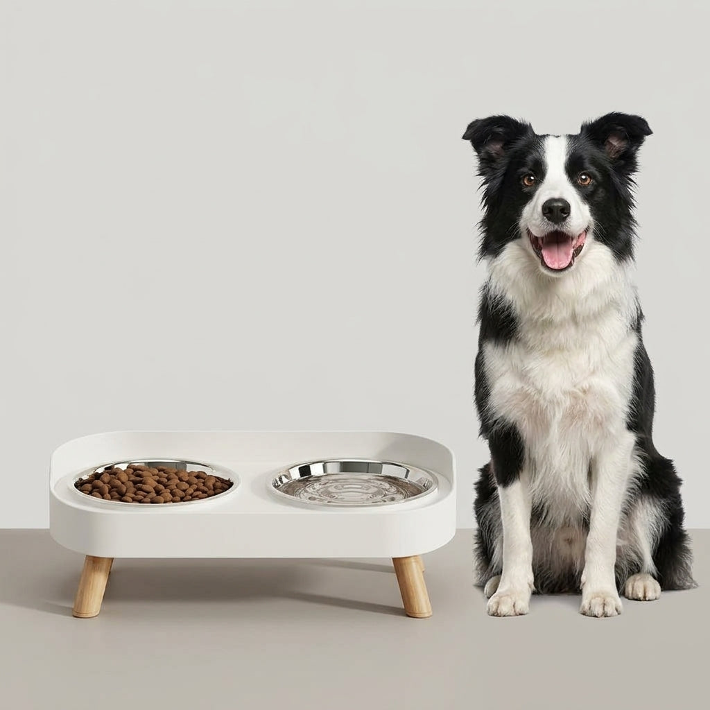 Comedouro Elevado para Alimentação Saudável - ElevPet
