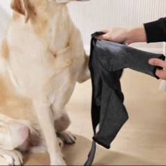 Protetor de Cotovelos Ortopédico para Cachorro – Protege Cotovelos, Feridas e Higromas