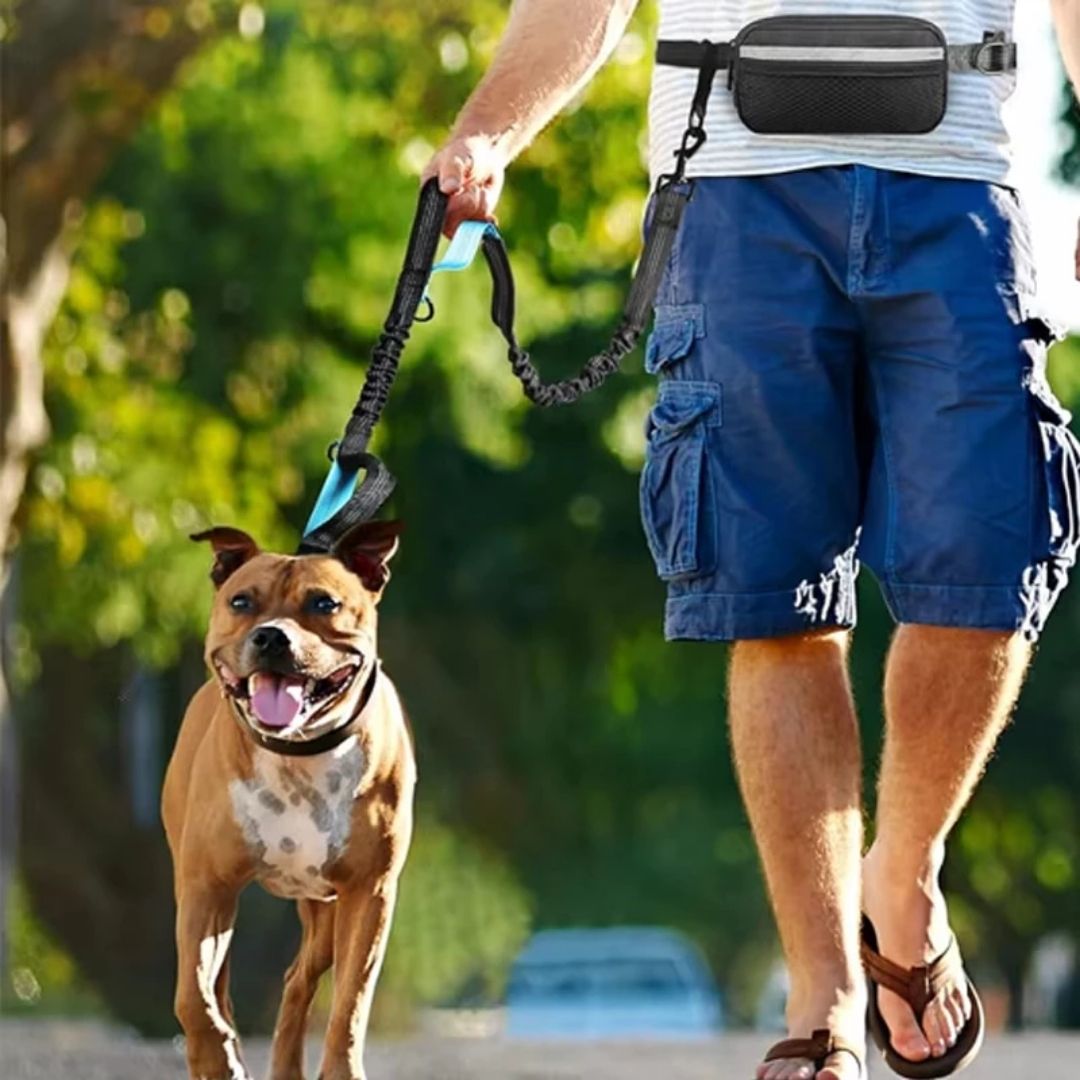 Guia Mãos Livres para Cães | Corrida e Caminhada com Mãos Livres