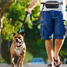 Guia Mãos Livres para Cães | Corrida e Caminhada com Mãos Livres
