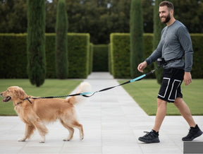 Guia Mãos Livres para Cães | Corrida e Caminhada com Mãos Livres