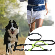 Guia Mãos Livres para Pets | Para Cães de Todos os Tamanhos | Ideal para Corridas e Caminhadas ao Ar Livre | Design Elástico com Corda de Tração e Sistema à Prova de Explosão