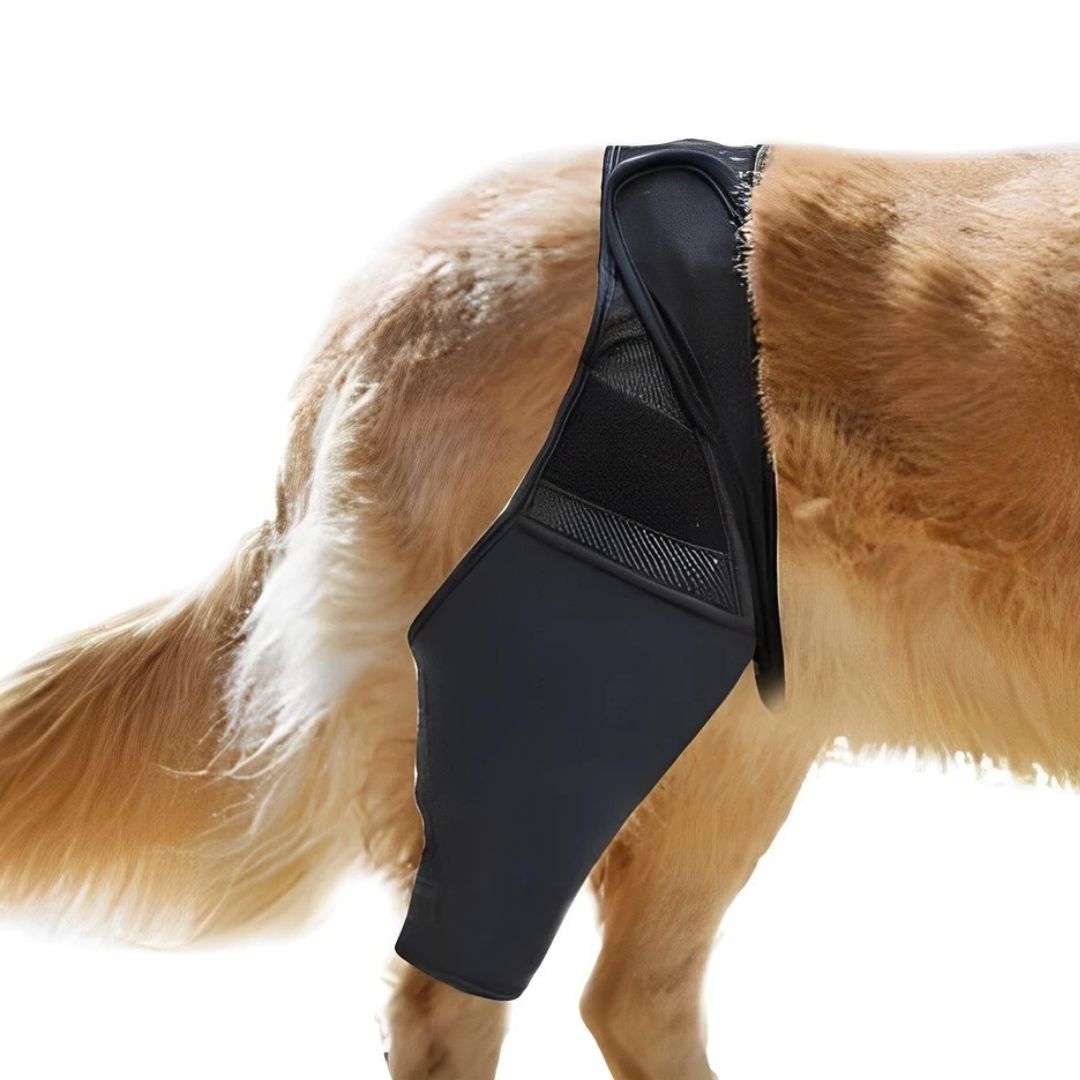 Joelheira Ajustável para Cães – Alívio da Dor Ortopédico