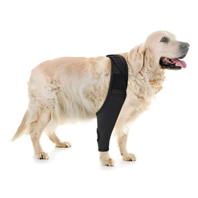 Joelheira Ajustável para Cães – Alívio da Dor Ortopédico
