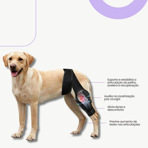 Joelheira Ajustável para Cães – Alívio da Dor Ortopédico