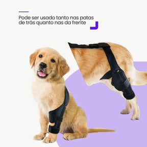 Joelheira Ajustável para Cães – Alívio da Dor Ortopédico