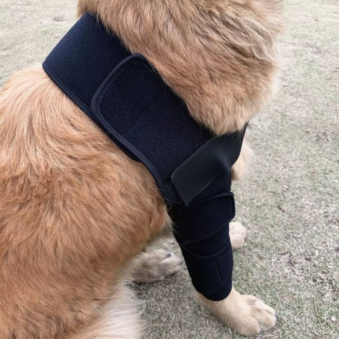 Joelheira Dupla para Patas Dianteiras