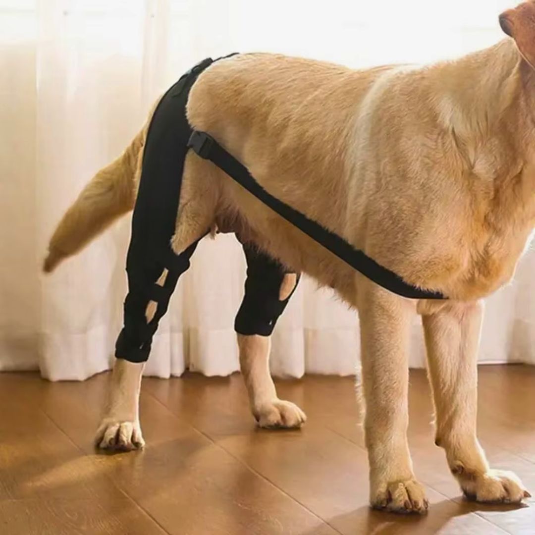 Joelheira Dupla para Patas Traseiras