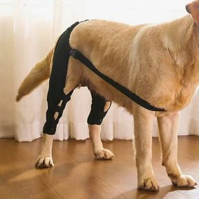 Joelheira Dupla para Patas Traseiras